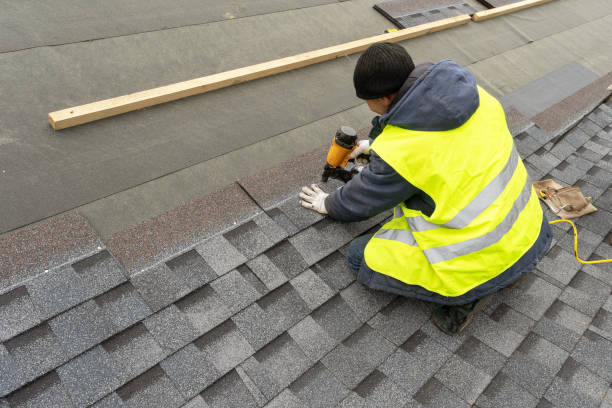 Best Storm Damage Roof Repair  in Halls, TN