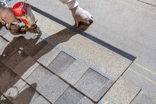 Best Roof Repair Specialists  in Halls, TN